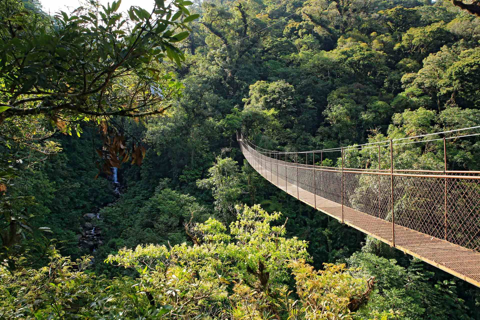 Boquete (Day Trip)